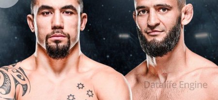 Khamzat Chimaev contre Robert Whittaker